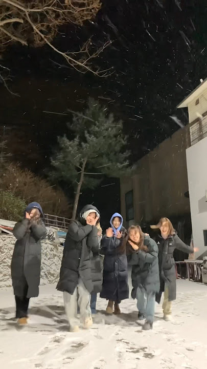 Aʟᴡᴀʏꜱ ʙᴇ ᴡɪᴛʜ 🐰🐱🐨🐻‍❄️🐶🐥❄️ #NMIXX #엔믹스 #Fe3O4_BREAK #Soñar