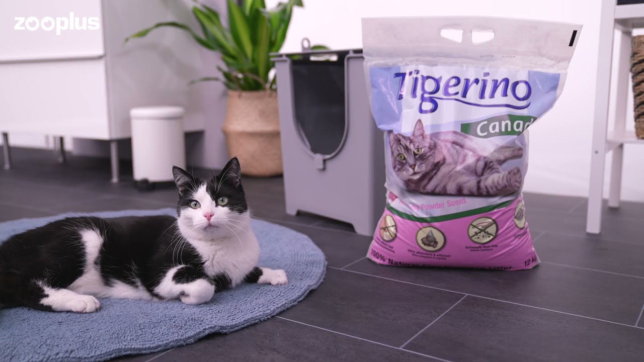 Tigerino Canada Style - Katzenstreu Babypowder