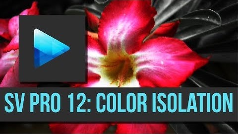 Sony Vegas Pro 12: Color Isolation
