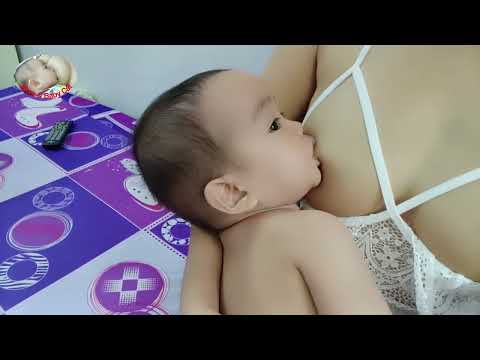 Breastfeeding Baby Cat   Mom   Baby Cat1080p