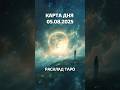Карта дня 5 августа 2025 года | Таро совет на сегодня