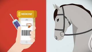 Horse Management soft and App - Horse health care system screenshot 5