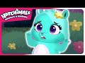 Glowing Hatchimal?! | Hatchimals Adventures in Hatchtopia | Cartoons for Kids