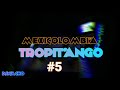 CLASICOS MEXICOLOMBIA #5 | TROPITANGO BAILABLE | DJNACHO