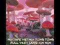 MIXTAPE VIETMIX - TƯNG TỬNG XUNG TƯƠI SANG XỊN MỊN - FULL VKEY