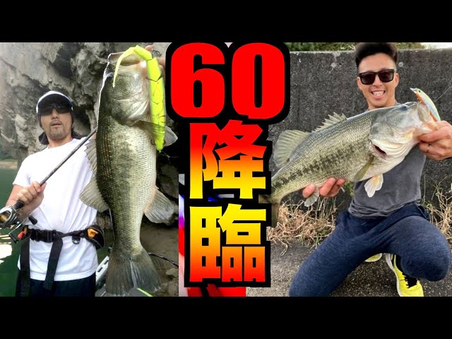 速報】60cm降臨ブラックバス！超激戦週間全国バス釣り釣果情報【第9回