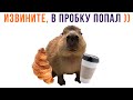 ТОТ САМЫЙ ОПАЗДУН ))) | Приколы | Мемозг 1303