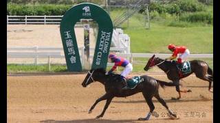 20260725 Chinese-Bred Thoroughbred 2YO 1200m (Race 2)