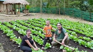 clean up the farm, expand the vegetable garden, farm life by SURVIVAL ALONE 64,467 views 2 months ago 23 minutes