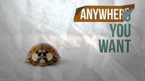 Folding & Unfolding Logo Artwork Reveal Pack | VideoHive Templates | After Effects Project Files