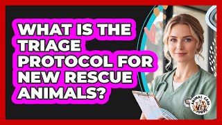 What Is The Triage Protocol For New Rescue Animals?