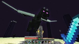 I beat the ender dragon in minecraft (the end)