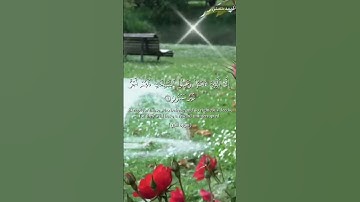 "سورة التين 🌿 | تلاوة خاشعة تهز القلوب" #المصحف #القرآن_الكريم