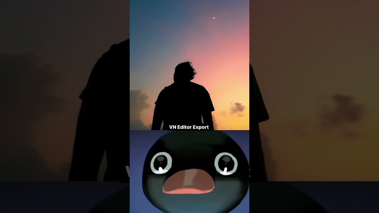 IPhone 11 video vs VN Editor edit 