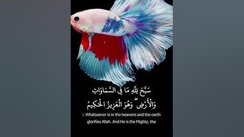 سورة الحديد (سبح للە مافي السموت والارض )الشيخ احمد العجمي (نوري دل ❤)