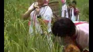 Miniatura de vídeo de "life of karen people"
