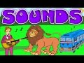 Learn All About Sounds: Animals, Musical Instruments, Noise Machines; Educational Videos for Kids