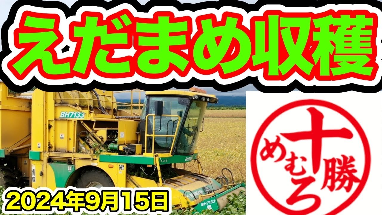 SODANE - 北海道十勝では枝豆の収穫！広大な畑に生る枝豆の収穫