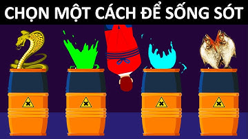 15+ Câu Đố Làm Khó Ngay Cả Những Giáo Sư Thông Minh Nhất