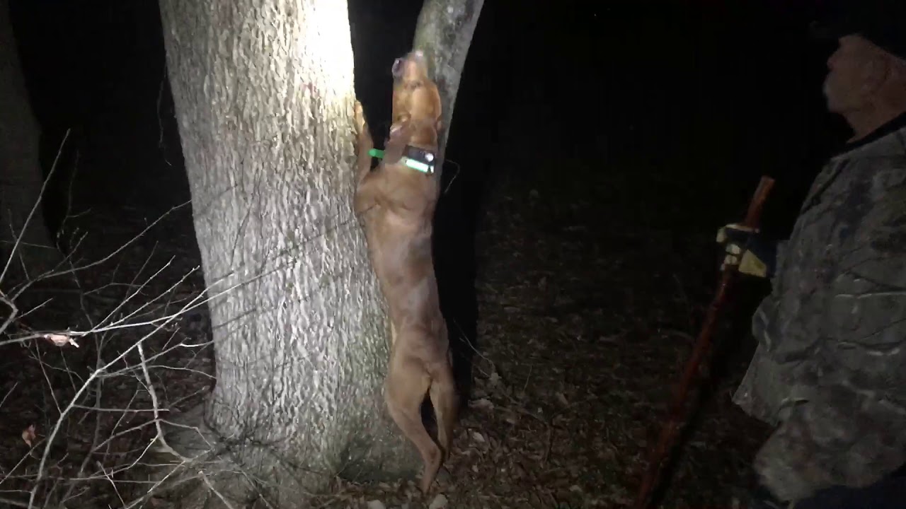 Me and Dad with our Redbone pup Ruger.