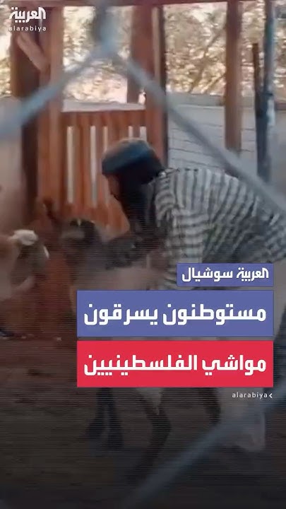             
 - نشر قبل 11 دقيقة