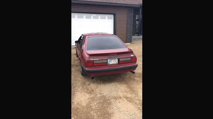 Pypes violator cat back exhaust