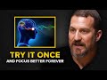 Neuroscientist how to boost your focus permanently in minutes