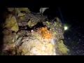 Epic NIght Dive - Best of Maui Diving July 2014
