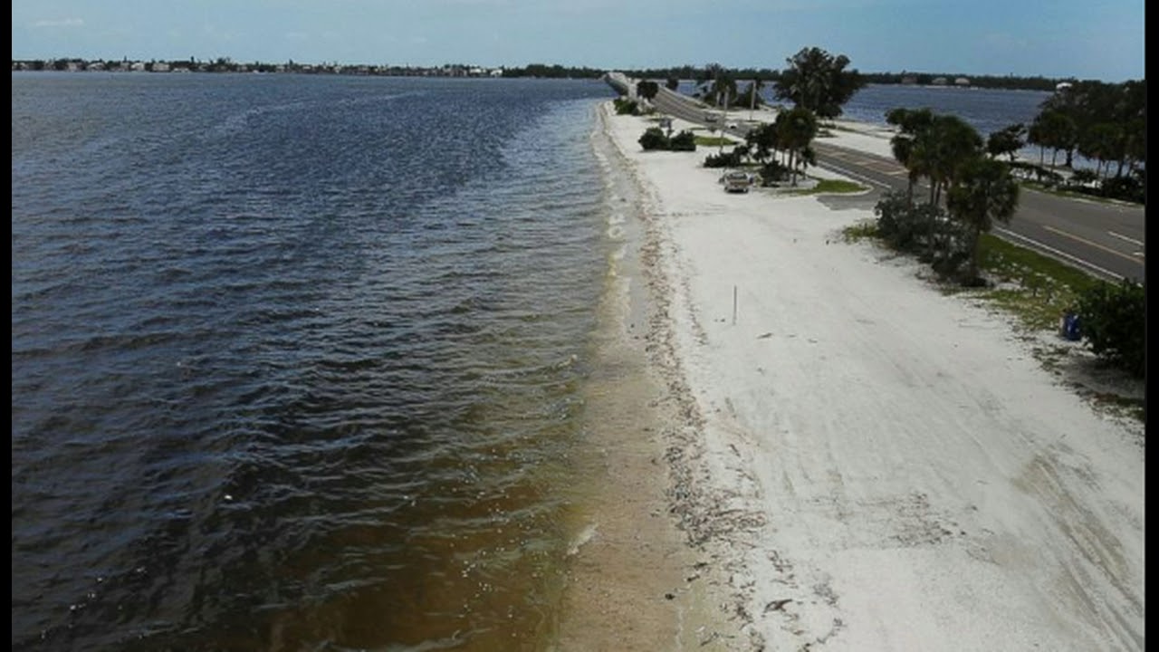 Red tide in Sarasota County drops, but could rise again