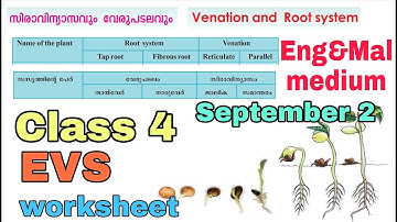Victers Class 4 EVS worksheet September 2 English and Malayalam medium