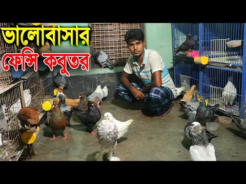 ভিডিও: ফেন্সরো কি একটি শব্দ?