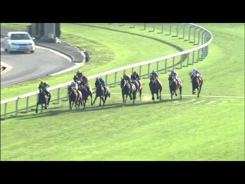 Vidéo de la course PMU JOCKEY CLUB MILE