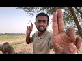 ASMR Cranial Nerve Exam | Outdoor