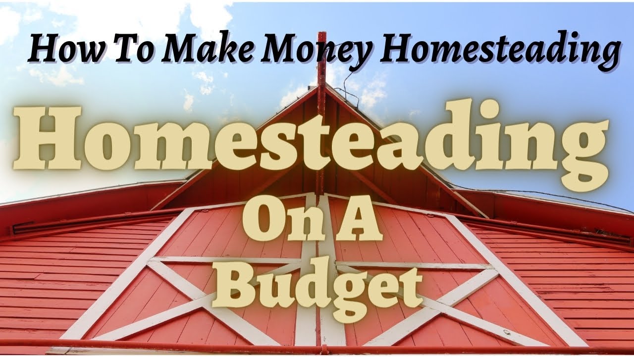 HOMESTEADING ON A BUDGET | How To Make Money Homesteading 
