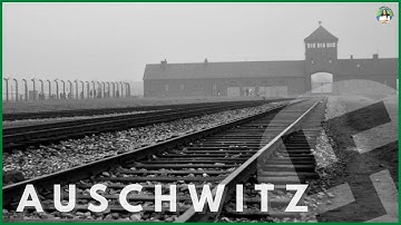 AUSCHWITZ: The Complete DISTURBING Tour | WARNING: Actual footage