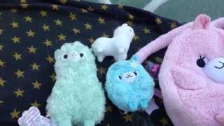 💖My Alpacasso Collection! 🌟