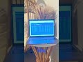 12 Resale Flips Tracked — Real Sales Log Results