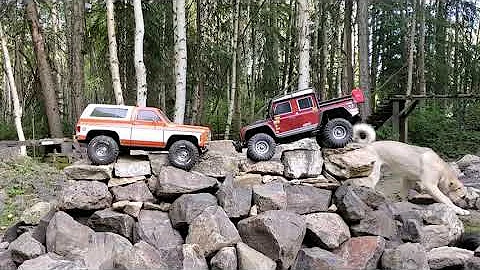 FCX10 VS TRX4