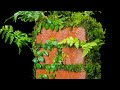 Living Moss Brick (Satisfying and Relaxing Build)