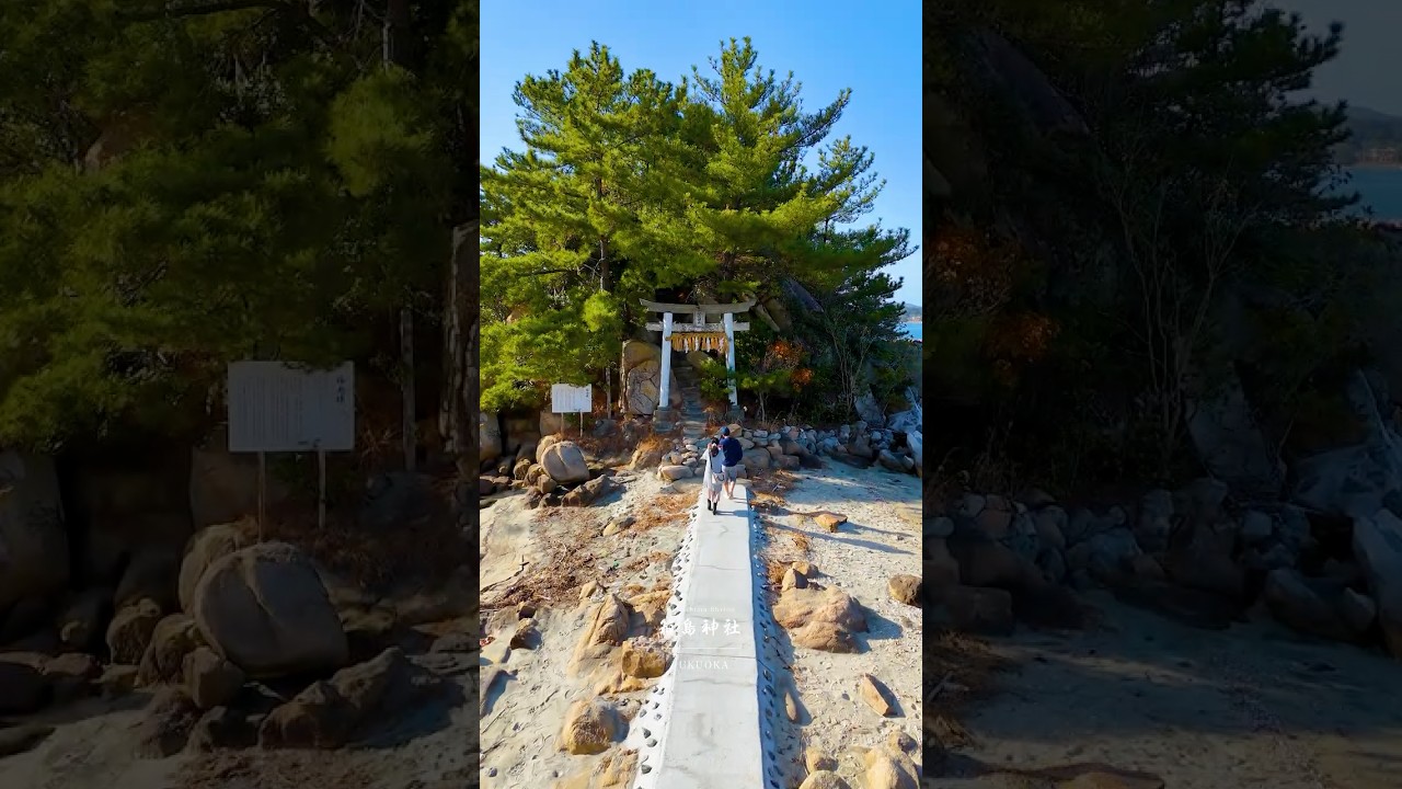 海に鳥居があるエモい絶景神社をまとめてみた🇯🇵