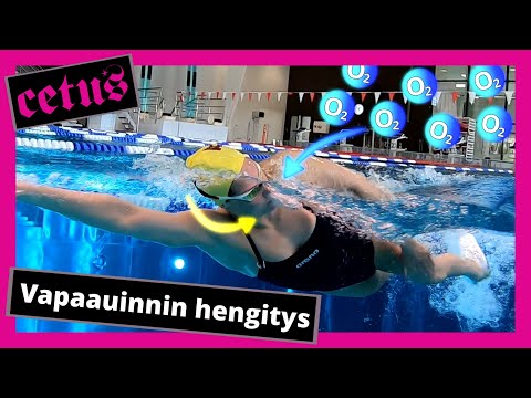 Vapaauinti 6 - Hengitys