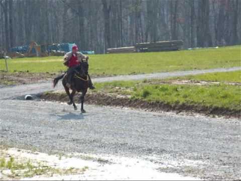 Bobby Gene York & New Speed Horse "Romeo"