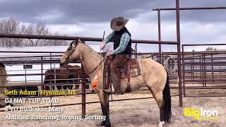 CJ NAT TUF TOAD | April 2 Ranch Horse Sale | BigIron Auctions