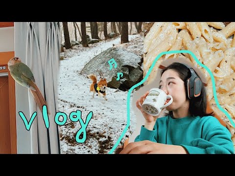 🌱<strong>232</strong> Vlog I English 영어 브이로그 I 브리치즈 파스타 I 마지막 눈❄️(제발) I 커튼 타는 라리 I 김갈릭