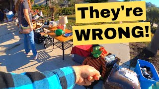 People Think These Are WORTHLESS At Garage Sales!