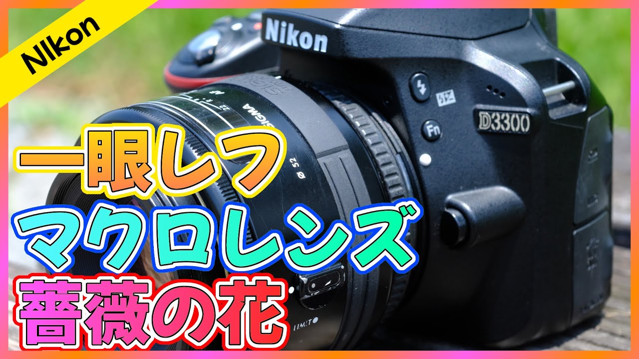 Nikon] Macro lens photography with a DSLR! Manual focus is tough