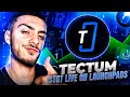 Tectum is driving the future of PayFi—powering instant, borderless payments with real-time liquidity