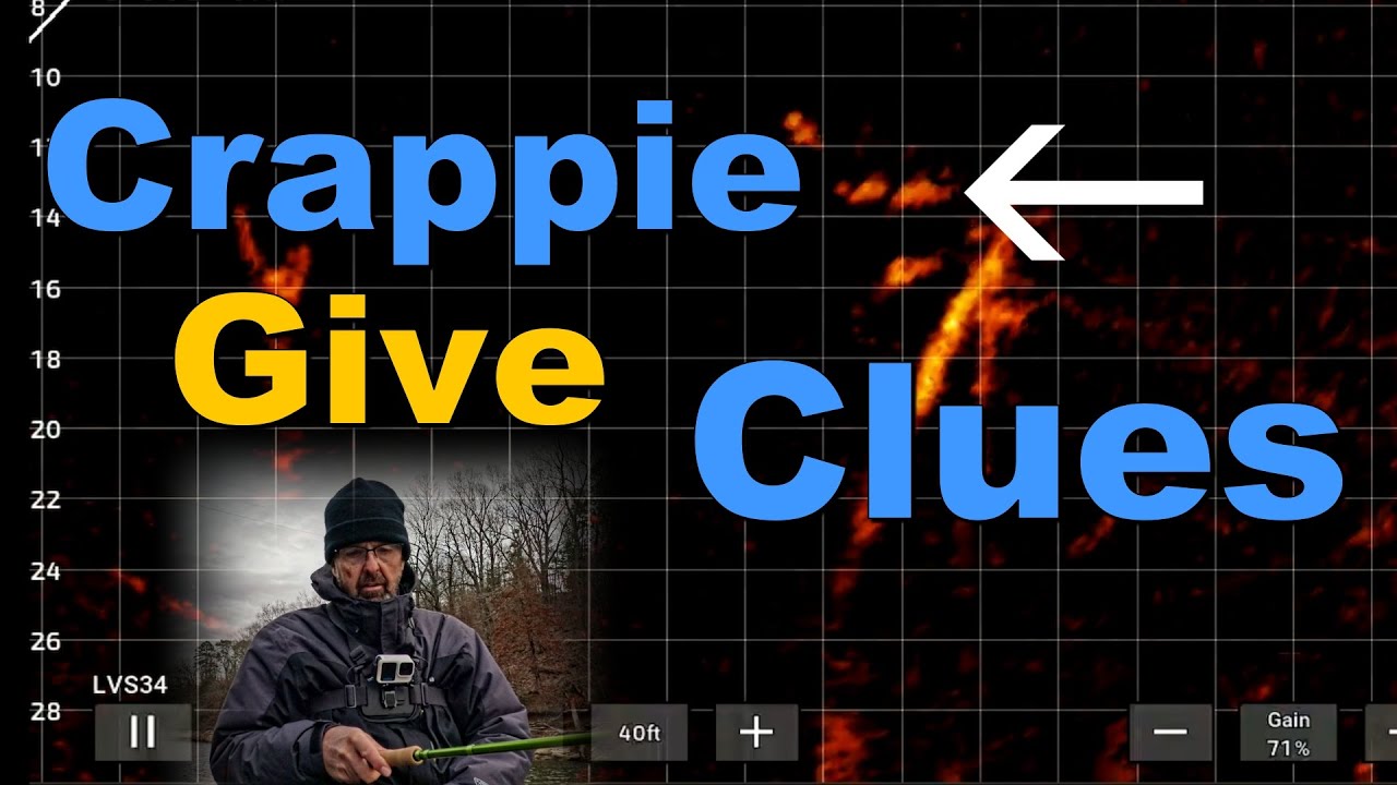 Краппи дают подсказки, как улучшить поклёвку.