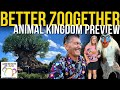 Sneak Peak of BETTER ZOOGETHER - Animal Kingdom's Newest Zootopia Show