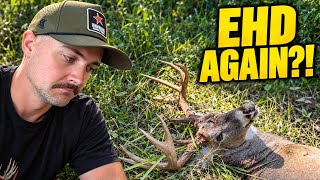 Opening weekend Heartbreak | EHD hits OHIO again!